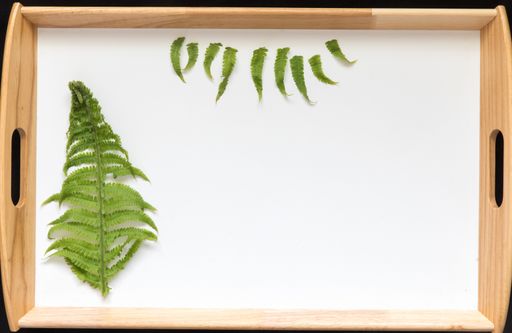 A top view of fern leaves in a wooden box on the table