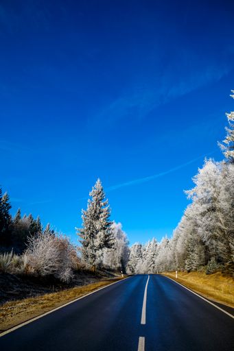 A beautiful scenery of a road surrounded by a lot of trees covered with snow