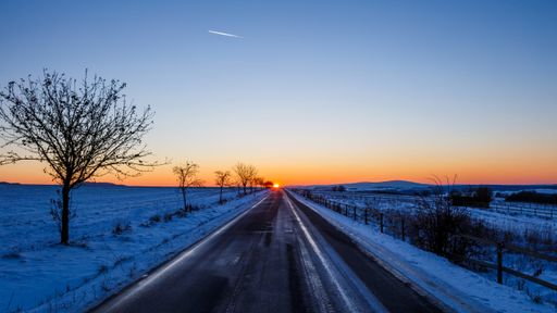 A beautiful scenery of a road surrounded by a lot of trees covered with snow