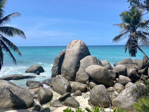 The big rocks and tropical trees captured at the shoreline with blue sea waves