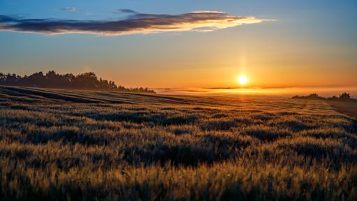 A breathtaking scenery of a landscape with green grass under the beautiful sunset sky