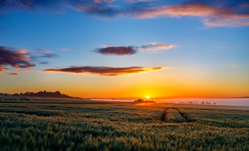 A breathtaking scenery of a landscape with green grass under the beautiful sunset sky