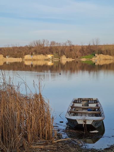 A vertical shot of an old boat in a calm reflective lake in autumn