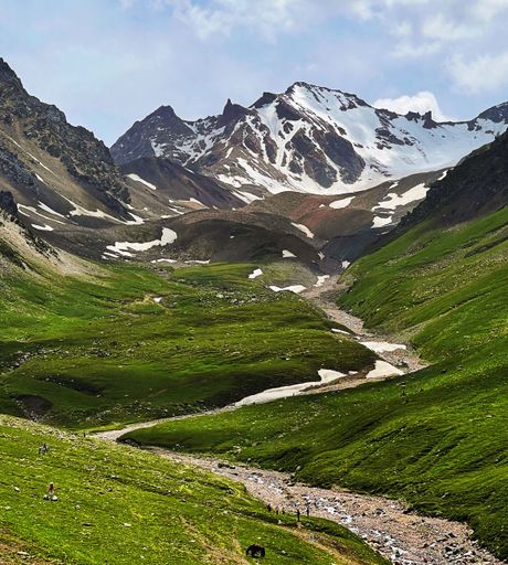 A beautiful vertical shot of a zigzag path leading to snowy mountains surrounded by green fields in the countryside