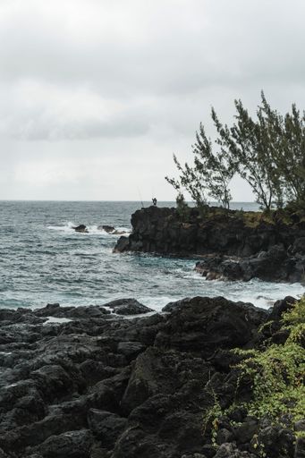 A vertical shot of a rocky seashore covered in trees with gray sky in the background