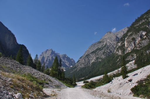 The big mountains with rocky peaks of the Alps surrounded by green trees against the blue sunny sky