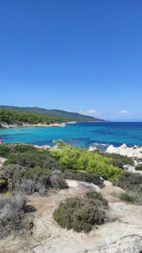 A vertical shot of Orange Beach, Greece covered with green shrubs against the blue sea on a sunny day