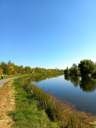A vertical shot of a lake in a forest in Kula, Serbia