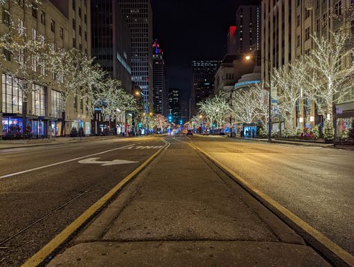 The trees decorated with Christmas lights