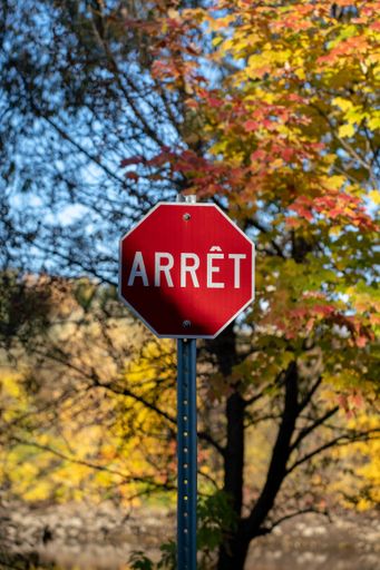 A vertical closeup of Canadian "Stop" road sign in red and white, autumn trees blurred background