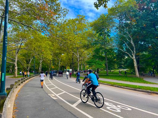 The people jogging and riding bicycles in New York City's Central Park, which is filled with green trees in the fall