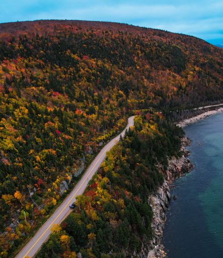 A vertical aerial view of a road through a colorful autumn forest on Cape Breton Island