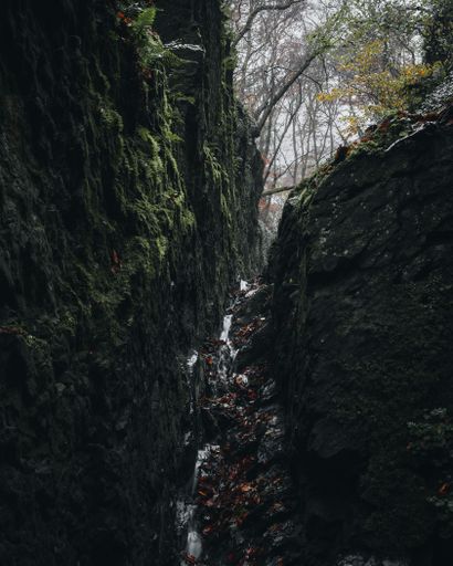 A vertical shot of a rocky gorge covered with moss in a forest on a cloudy day