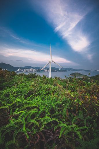 A vertical shot of a wind turbine in a field with the sea in the background