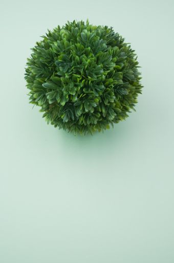 a decorative artificial green plant on a light green surface viewed from above