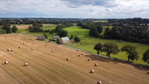 An aerial view of an agricultural field with numerous hays on it surrounded by green trees