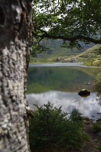 A vertical shot of a lake surrounded by mountains and trees