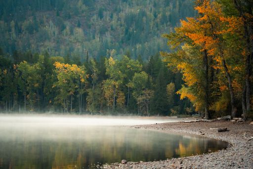 A beautiful view of Lake McDonald near the forest in Montana, USA