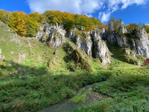 A horizontal shot of Polish Ojcow National Park's green nature and cliffs under the blue sky
