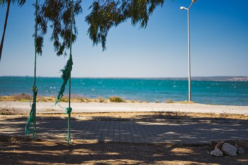 A swing hanging from an eucalyptus tree over looking the Aegean sea