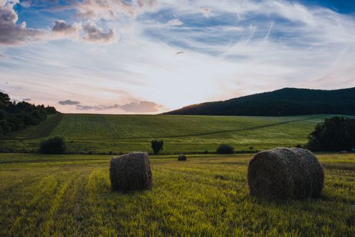 Hay bales in field at sunset with hills in background