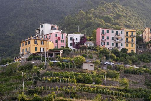 Corniglia, Italy, August 14th 2020, Colorful houses on the mountain in Cinque Terre