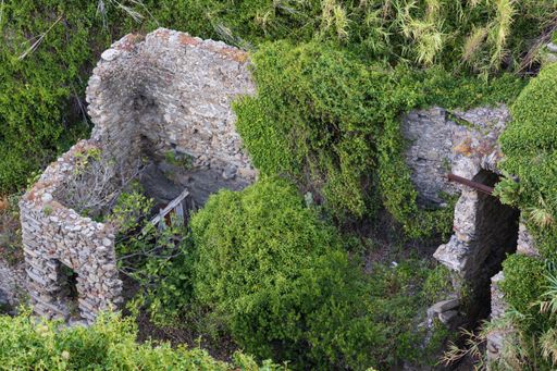 A ruined stone house in the middle of the vegetation