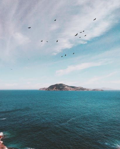 A vertical shot of beautiful scenery of birds flying over the ocean under the cloudy sky