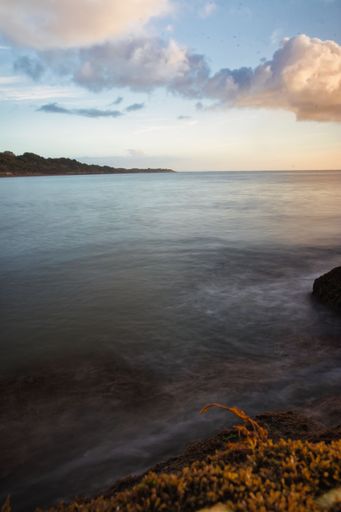 A vertical shot of a beach full of rocks with a calm sea in the background in the evening