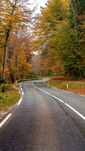 A vertical shot of a twisting asphalt road through a colorful autumn forest