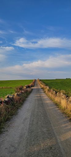 A vertical shot of a narrow road in the middle of a meadow with a cloudy blue sky in the background